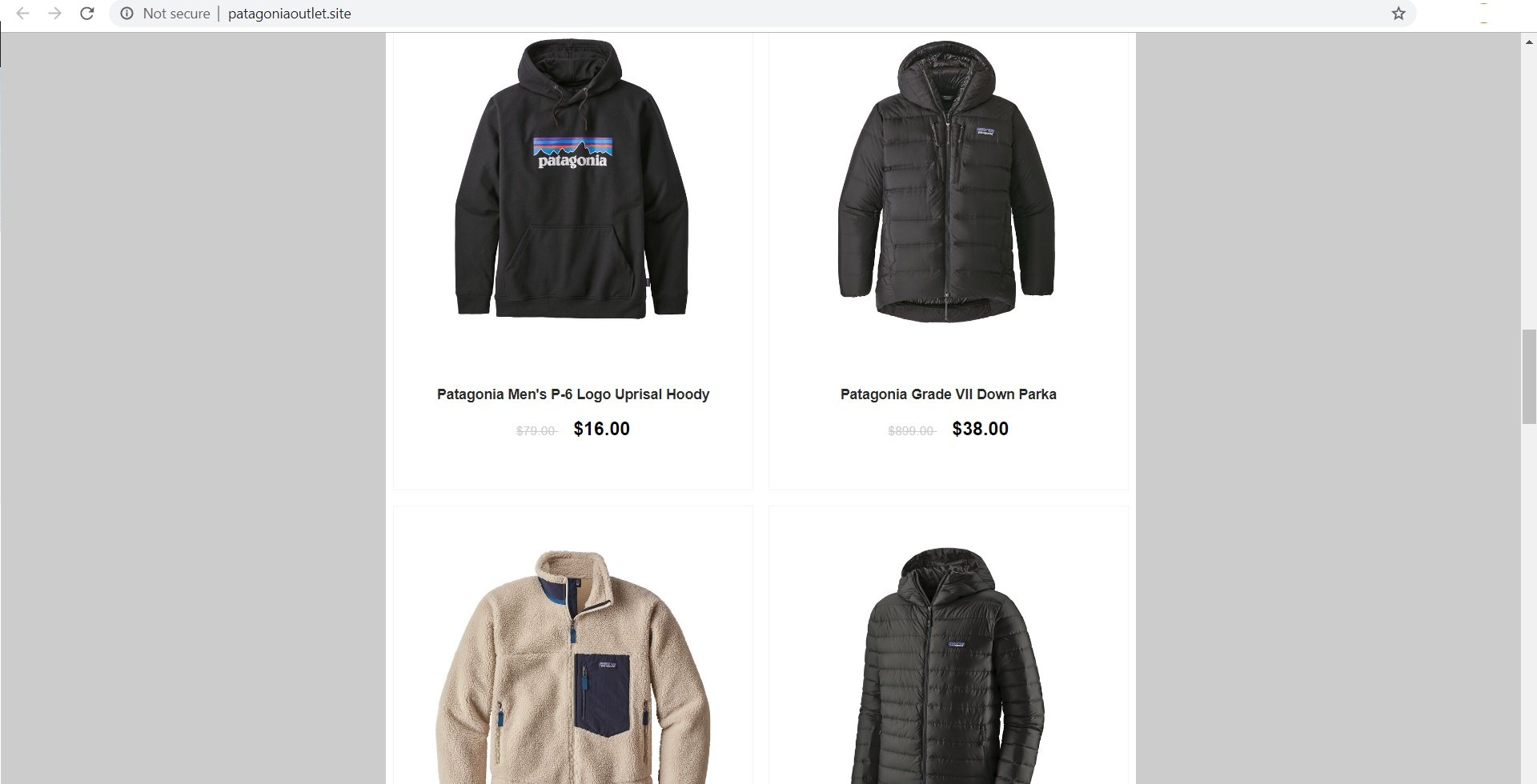 Patagonia Outlet Site Scam - Beware of the Fake Store