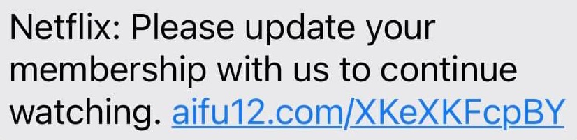 Netflix Please update your membership